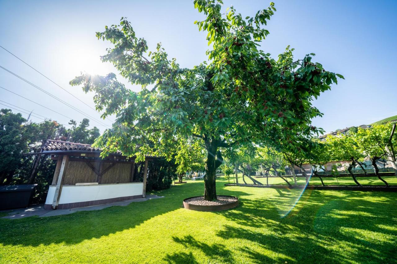 Hotel Frangart An Der Weinstrasse Appiano Sulla Strada Del Vino Kültér fotó